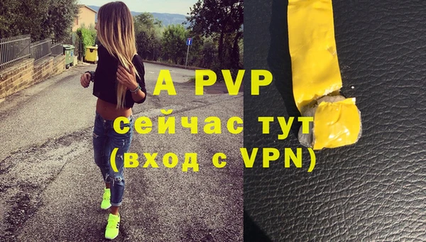 стафф Алзамай