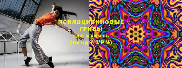 гашик Арсеньев