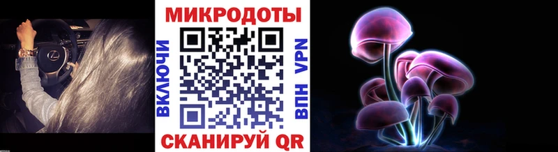 KRAKEN зеркало  это клад  Псилоцибиновые грибы Psilocybine cubensis  закладки  Красноперекопск 